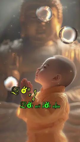 Bớt nghe bớt nói bơt nhìn#adidaphat #phatphat #kinhphat #ngam#songcham#