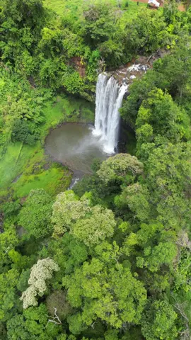 TAD-KAO-LEE ຕາດເກົາຫລີ 💚 #waterfall #laos🇱🇦 