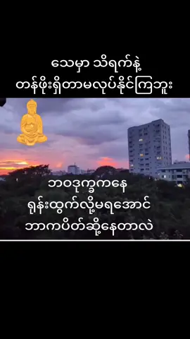သေမှာသိရက်နဲ့တန်ဖိုးရှိတာမလုပ်နိုင်ကြဘူး #တရားတို #ပါချုပ်ဆရာတော်ဘုရာကြီး🙏🙏🙏 #ဓမ္မဒါန #ဘုရားတရားသံဃာ #fyp #tiktok #viralvideo #ကုသိုလ်ယူမျှဝေပါ၏ဘုရား🌹🙏🙏🙏 