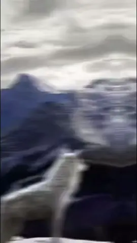 #CapCut 