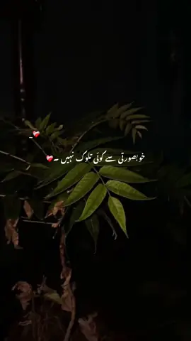 خوبصورتی سے کوئی تلوک نہیں ۔❤️‍🩹 Repost request 🤌🏻 #aesthetic #poetry #poetrystatus #1million #viralvideo #trending #rehanvibes #hehe_jawad4 #firstvideo 