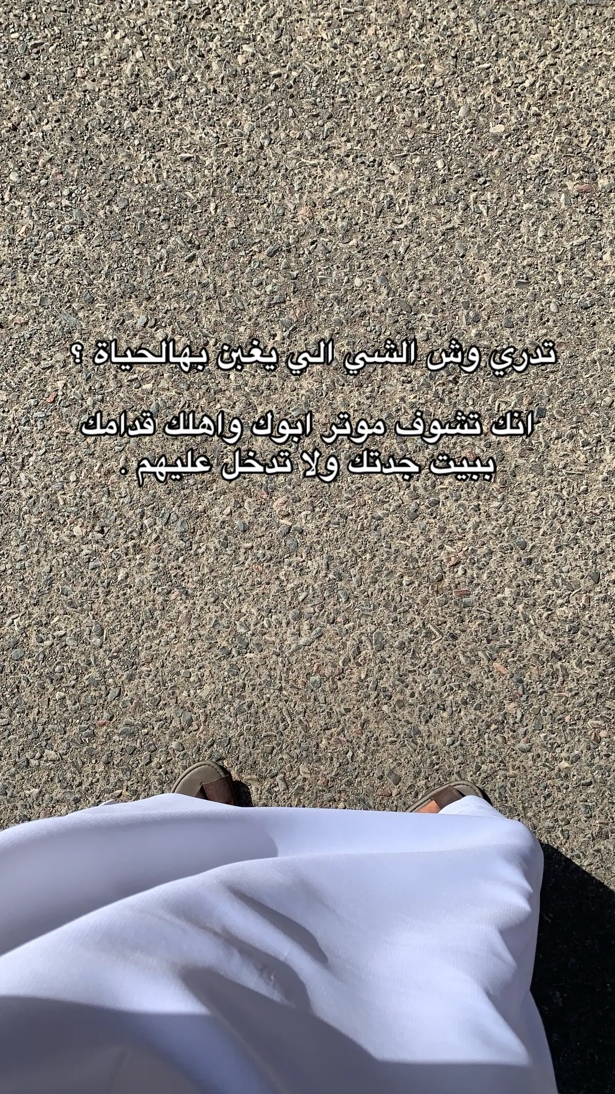 #اكسبلورexplore #fyp #fypツ #ابيار_الماشي 
