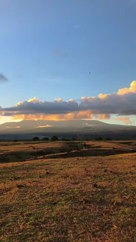 ayo anjeli kita kejar2an disini