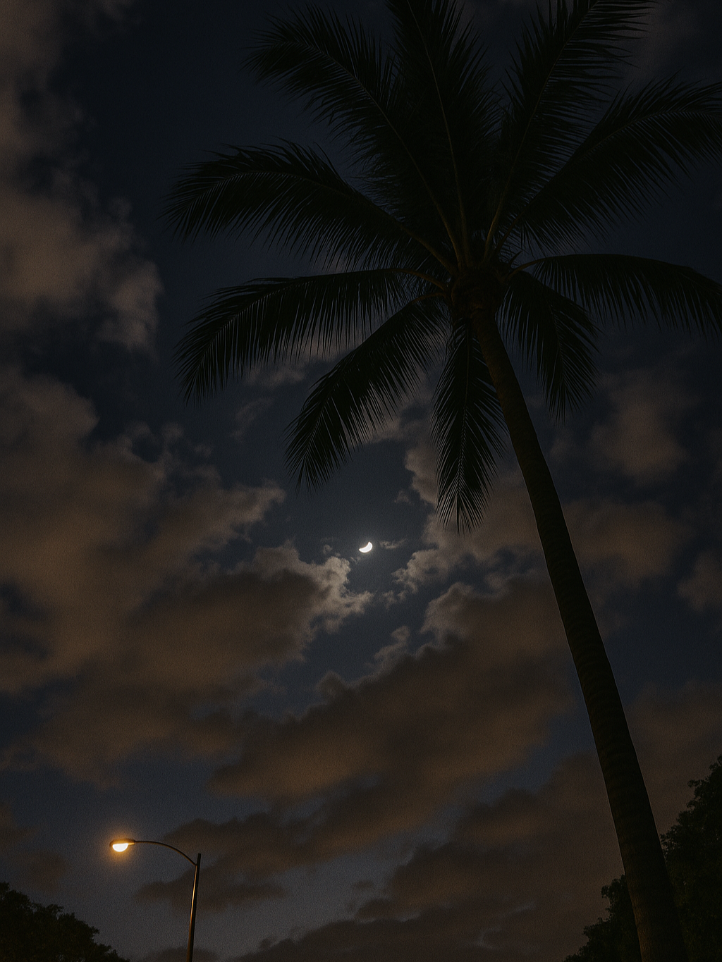 ✨ Filmed beneath my palm tree. Just 3 minutes of calm street sounds and clouds drifting by. Sometimes the simplest moments are the best. Watch, breathe, unwind. 🌴🌙 #nightview #palmtreevibes #nightskylover #urbancloudscape #streetview #palmtreesky #quietmoments #realtimevideo #streetambience #cloudymood #citysounds #aestheticvideo #nightclouds #relaxingvibes #soothingvideo #skywatcher #eveningvibes #citynightscape #moodyclouds #natureinmotion #slowtv #mindfulmoment #calmnights #palmtreeaesthetic #citysounds #nighttimelapse #skywatching #urbanvibes #palmwatching #tiktoksky #quietstreets #realnightsounds #cloudsdrift #softvibes #nightunderstars #peacefulvibes #streetvideogram #cloudlover