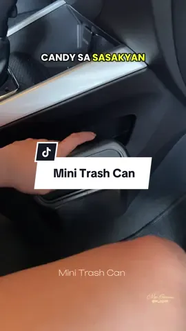 Car Portable Hanging Trash Bin 👀💯 #caraccessories #minitrashcan #trashcanforcar #minigarbage #trashcan #cartrashcan #caressentials #carhacks #mrsserrano @TikTok 
