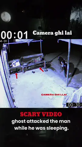 real ghost #cctv #horror #scary #pov #animal #ghost 