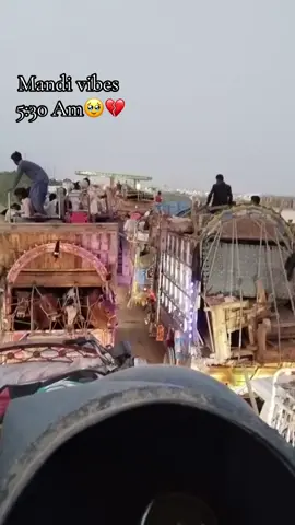 #fypシ゚viral #cattlefarm #❤️❤️ #choudharycattlefarm #cityofquaid #karachi #goodbye 🥹