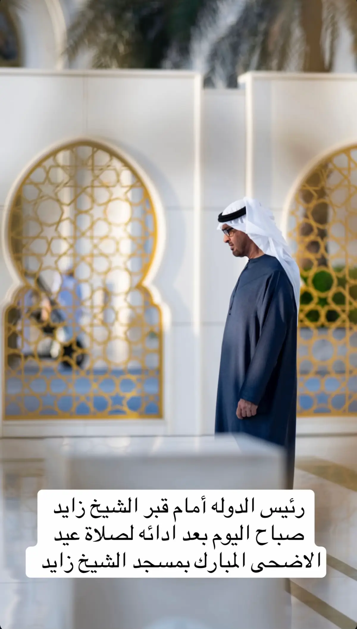 #محمد_بن_زايد_آل_نهيان #رئيس_الدوله #محمد_بن_زايد #السعودي_إماراتي_والأماراتي_سعودي #محمد_بن_زايد_عزنا_وفخرنا 