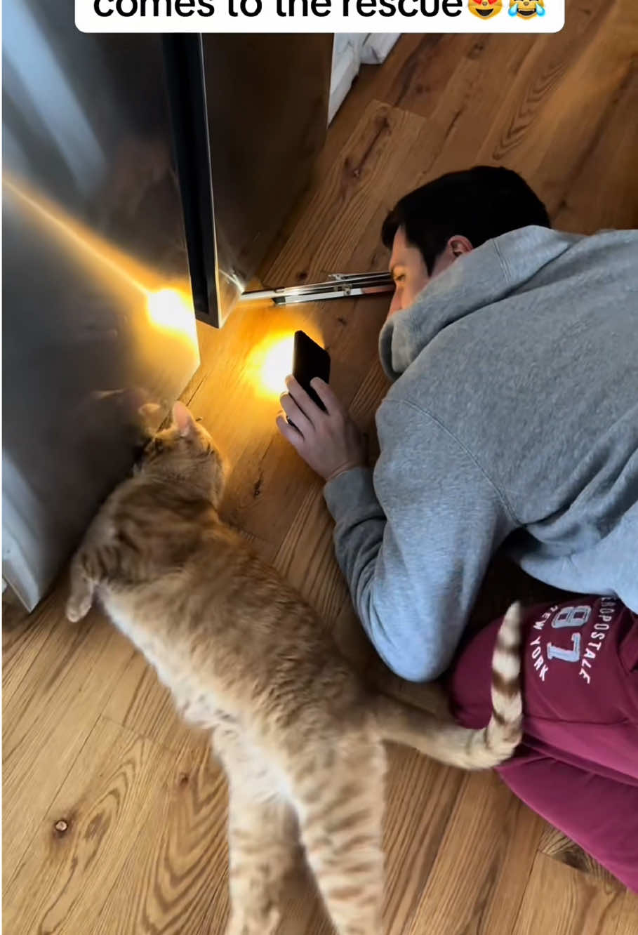 Cats are the best helpers!#cats #catsoftiktok #funnyvideos #tiktok #pet #cat #foryou #funny 