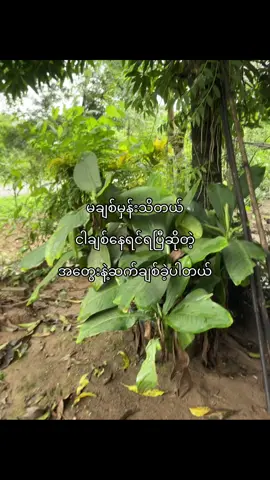 #foryou #foryou #crd #views #fyp #fyppppppppppppppppppppppp #fyppppppppppppppppppppppp 