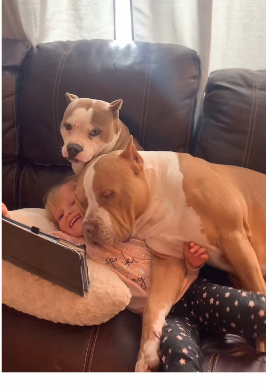 With the company of dogs the child’s childhood will be so happy 🥰🥰#dog #Love #baby #fridens #pet #cute #lovestory #dogsoftiktok #foryou #usa🇺🇸 