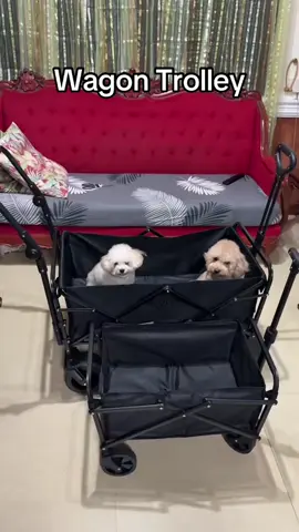#wagontrolley #petstroller #dogstroller #wagontrolleycart #trolleycart 