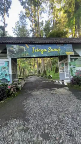Membalas @sritil02 Inilah Telaga Sunyi yang menyimpan cerita misteri dan mitos❗️#telagasunyi #baturaden #mitos #mistis 