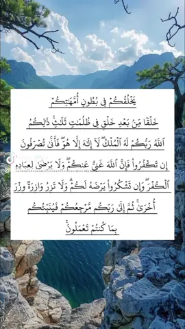 لالله الا الله الله اكبر الله اكبر                                                                             اللهم صلي على نبينا محمد                                                                                                          يارب رضاك والجنه وحسن الخاتمه ♡゙ 