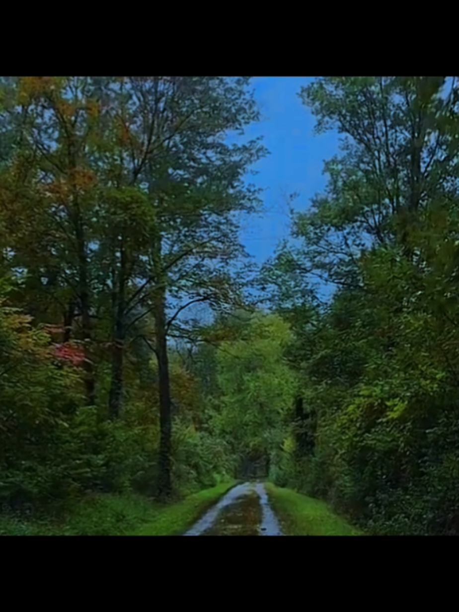 first song of the next album :)) hope you like it!! || #cat #nature #new #music #indie #indiemusic #indieartist #slowcore #upcomingartist  #dreampop #bedroompop #fadeawayth 