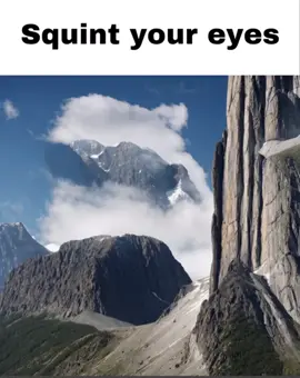 #creatorsearchinsights #fyp #viral #repost #tiktokviral #explore #trending 