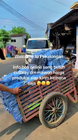 #pekalongan24jam #cutbrayjeans #viralvideo 