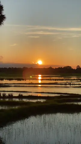 beautiful #sunset #fyppp