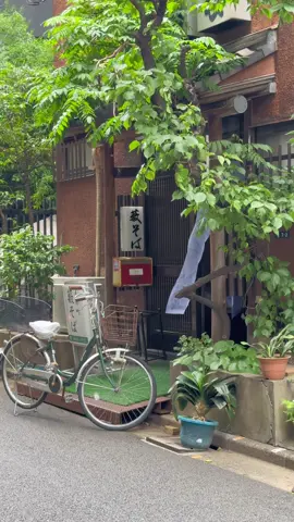 #Tokyo #Japan #tokyolife #japanlife #japanaesthetic #japantiktok #studioghibli #ghibli #peace #quietlife 