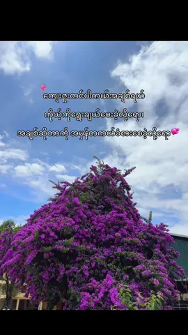 ကိုယ်ဟာတကယ်ကိုကံကောင်းတဲ့သူပဲ🫶 #fyp #viral #စာတို #tiktokmyanmar🇲🇲 