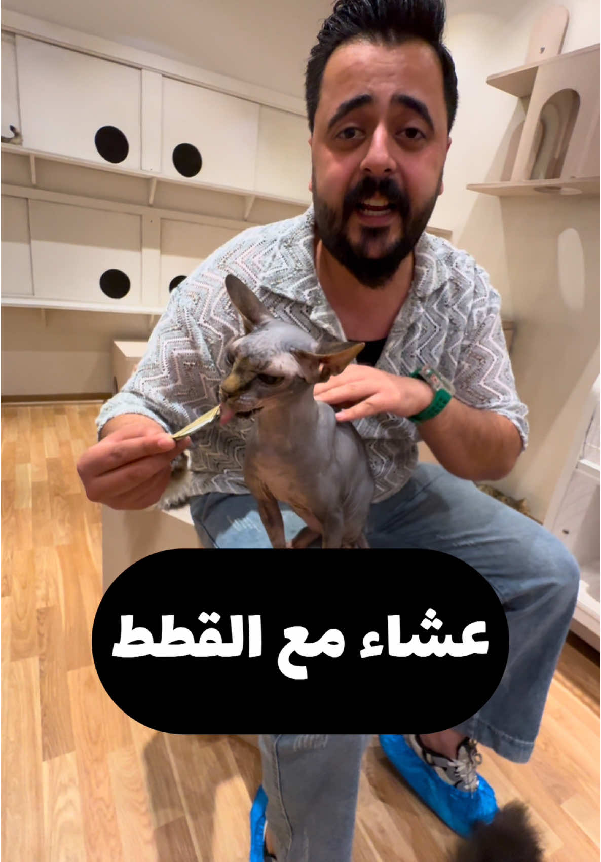سكونونو واغرب وجبة عشاء مع القطط 🫣#سكونونو #احمد_الامير9 