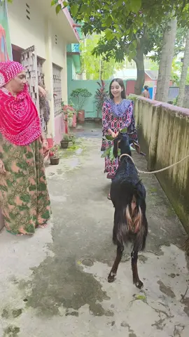#🥰🥰🥰🥰🥰🥰🥰🥰🥰🥰🥰🥰🥰🥰 #viralvideo #foryou 