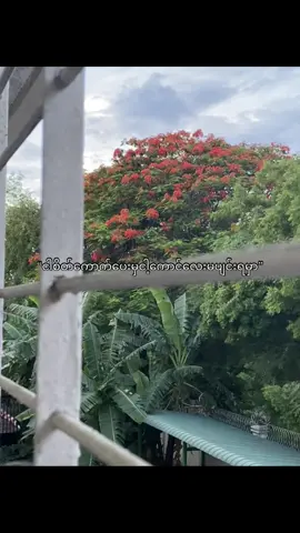 ပျင်းနေမှာစိုးလို့တစ်စုံတစ်ထူးကို🤭