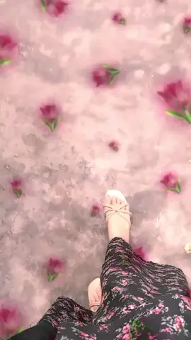 let's go to grocery.🛒👍🏼🤭