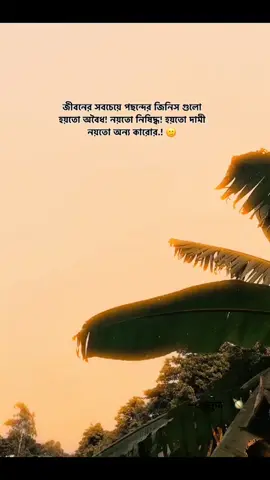 জীবনের সবচেয়ে পছন্দের জিনিস গুলো হয়তো অবৈধ! নয়তো নিষিদ্ধ! হয়তো দামী নয়তো অন্য কারোর.! 🙂#foryou #viral #viralvideo #trending #treinding_video #lyrics #plzunfrezemyaccount #fyp #stutasvideo #fyppppppppppppppppppppppp 