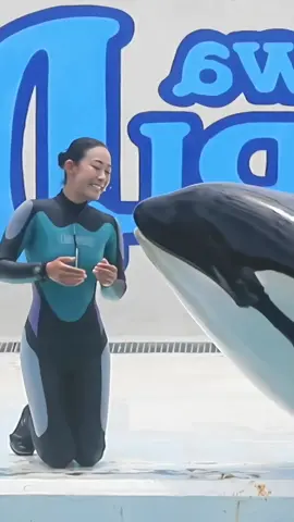 #orcas #trending #foryoupage #orcas #trending #foryoupage #orcas #trending #foryoupage #orcas #trending #foryoupage #orcas #trending #foryoupage #orcas #trending #foryoupage 