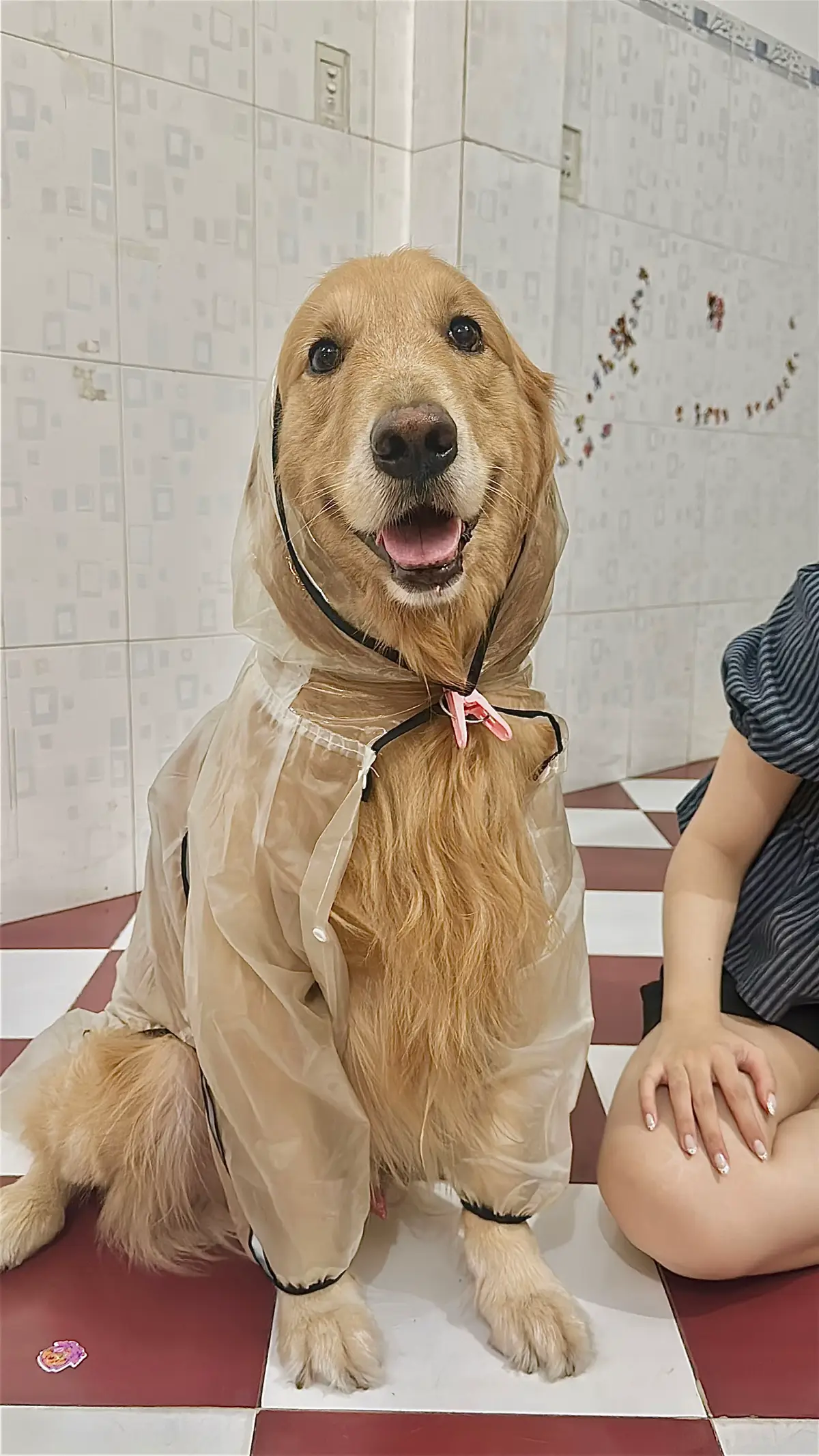 Nhưng mà cũng dễ thưn 🥰 lùn lùn đáng iuuu 