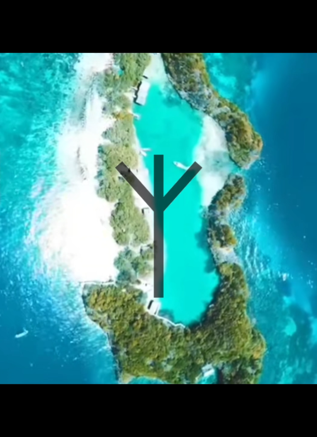 #ᛉ  #141 #ADA #nature #mothernature #natureonly #naturelove #natureshot #PlantLover #🌲 #SaveRajaAmpat #JusticeForArgo