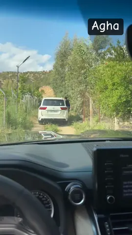 #hawler_slemani_dhok_karkuk_hallabja #agha #gardi #mergasor_soran_hawler_kurdistan #viraltiktok #viralvideo #fyp #foryou #foryoupage 