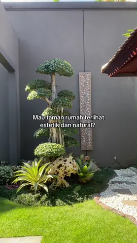 Pulang kerja nyantai dirumah sambil lihat pemandangan taman pikiran jadi lebih segar. #taman #tamanrumah #tamankering #tamanlandscape #pemandanganindah #fyp 