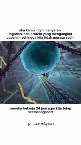 Nah Loh #semangatterus pokonya #oke #everyone #fyp 