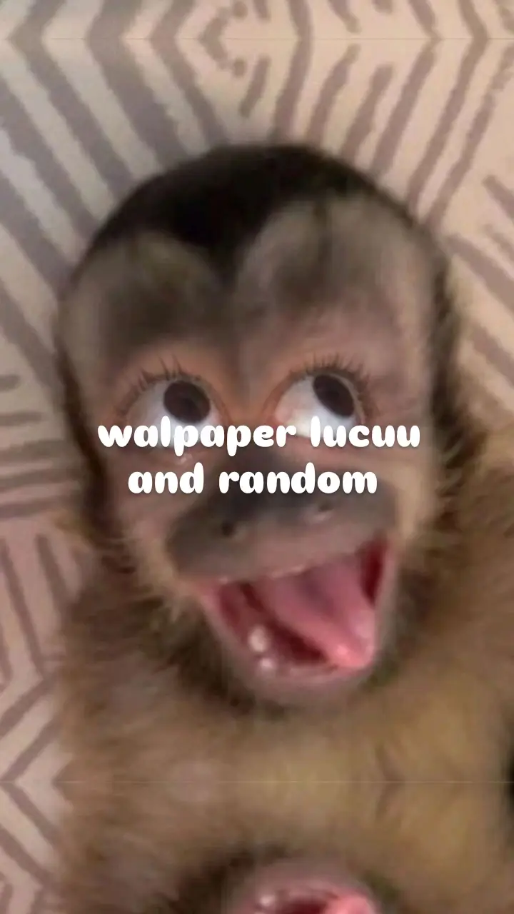 TERAKHIR BONUS🙏🏻☺️| #lewatberandafyp #fypシ #viraltiktok #wallpaper  #fyppppppppppppppppppppppp #lucu #random 