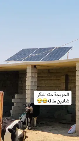 طگوگ#تصويري ##هاشتاقات_تيك_توك_العرب #الحويجة #صعدو_الفيديو #اكسبلور #العيد #لايك #لايكات 