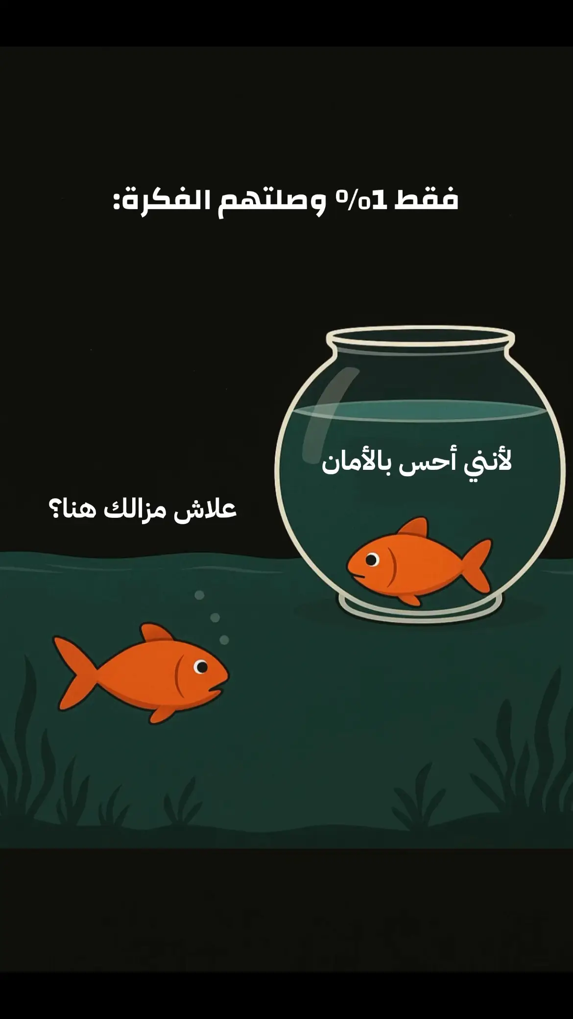 #algeria #entrepreneur #fyp #ecommerce #business 