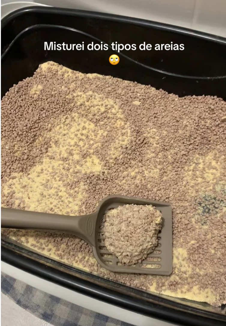 Fui inventar de misturar tipos diferentes de areias. #areiadegato 
