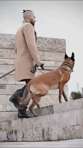 #usa🇺🇲 #k9trainer #dog🐕🐕 #dogsofinstagram #trending #trainingdogs #k9 #tactical #viralshorts #fyppppppppppppppppppppppppppppppppppp 