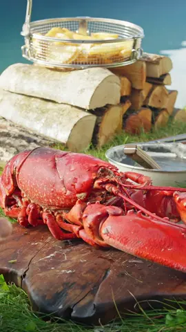 From ocean beast to feast – wilderness just got gourmet. 🌊➡️🔥🍽️ #firekitchen #lobster #seafood