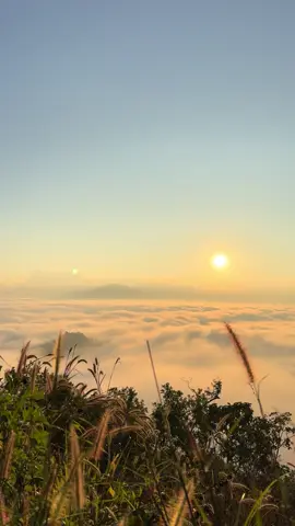 ใกล้ฤดูหมอกแล้วนะ 🌥️☁️⛰️ เตรียมพร้อมกับบรรยากาศกันได้แล้วนะ 😊 เ ด่ น ที วี ที่เมืองคอง ทะเลหมอกที่สวยงามยามเช้า ลอยเหนือขุนเขา มียอดดอยหลวงเชียงดาว เป็นฉากหลัง ให้ธรรมชาติโอบกอดคุณไว้ 🍃🌿เมื่อไหร่ที่ต้องการพักกาย พักใจ ให้นึกถึงเรา ❤️ #เดอการ์เด้น#เมืองคอง #ที่พักเมืองคอง #เชียงดาว​ #เด่นทีวี #ทะเลหมอก​เด่นทีวี #ดอยหลวงเชียงดาว #เมืองคองเชียงดาว #เด่นทีวี #ที่พักริมน้ำ #เชียงใหม่ #ที่พักเมืองคองมีแอร์ 
