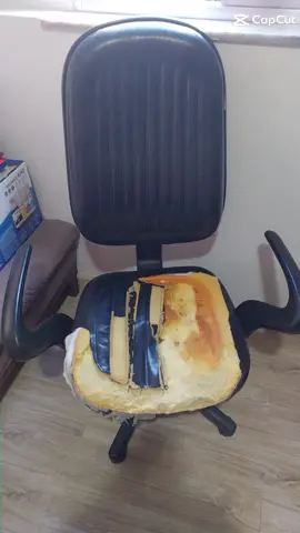 NÃO JOGUE A SUA CADEIRA FORA, REFORME ⚠️ REFORMA EM CADEIRA DE ESCRITÓRIO. OFICINA DA CADEIRA RJ 21 999838224 #gamer #brazil #riodejaneiro #rio #manutencao #conserto #manutencao #conserto #viral #estofador #tapeceiro #cadeiradeescritorio #sustentabilidade #empreendedorismo #homeoffice #empreender #recycle #reciclagem #reciclagemcriativa 