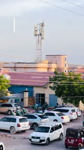 Qardho Puntland SomLia📍🇸🇱#fyp #foryoupage #somalitiktok #unfreezemyacount #qardho🇸🇱🇸🇱🤘 #gobolkabari 