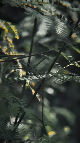 Setiap hari aku berusaha meyakinkan diriku sendiri, bahwa suatu hari nanti hidupku akan jauh lebih baik dari hari ini 🤲