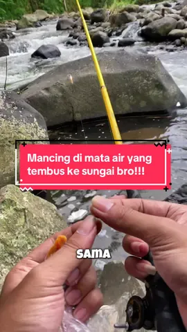 Mancing di mata air yang tembus ke sungai bro!!!!! #microfishing #wonosobo #mancing #microfishingindonesia #tegekmurah #tegekpancing #joranmelengkung #mancingikan #tegek #joranmurah #mancingmania #mancingliar #tanago #Outdoors 
