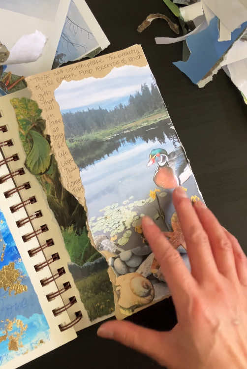 May Creative Spark Challenge ✨ I chose the prompt “nature” and created a collage with photos I had taken and printed out. For collages in sketchbooks I like adding an extra flap / page to create more space since the pages are on the smaller side. If you like this idea I hope you’ll try it out with your own photos and June’s Creative Spark Challenge prompts will be shared this weekend! If you’d like all the details, sign up for my newsletter! The quote I shared is by Rachel Carson: “Those who contemplate the beauty of the earth find reserves of strength that will endure as long as life lasts. There is something infinitely healing in the repeated refrains of nature—the assurance that dawn comes after night, and spring after winter.” #artprocess #collage #sketchbookart 