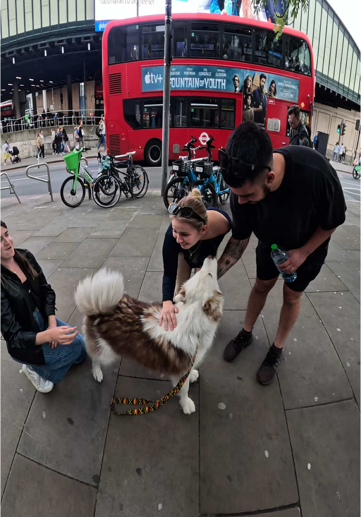 Interactions with my dog!!  #husky #viral #pets #foryou #newzealand #london #fyp #fypp 