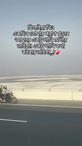মিলাইয়া নিও একদিন তোমার পরাণ পুড়বে আমারে একটু খানি দেখার লাইগা! একটু খানি কথা কইবার লাইগা,,!❤️‍🩹#cupcut #foryou #copylinkplease💗 