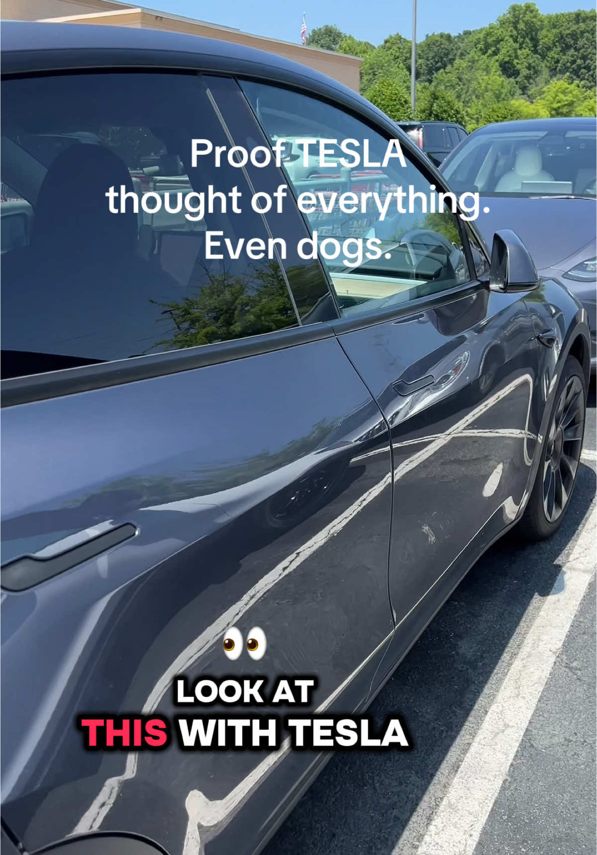 #teslatok #tesladogmode #dogmode #teslatok